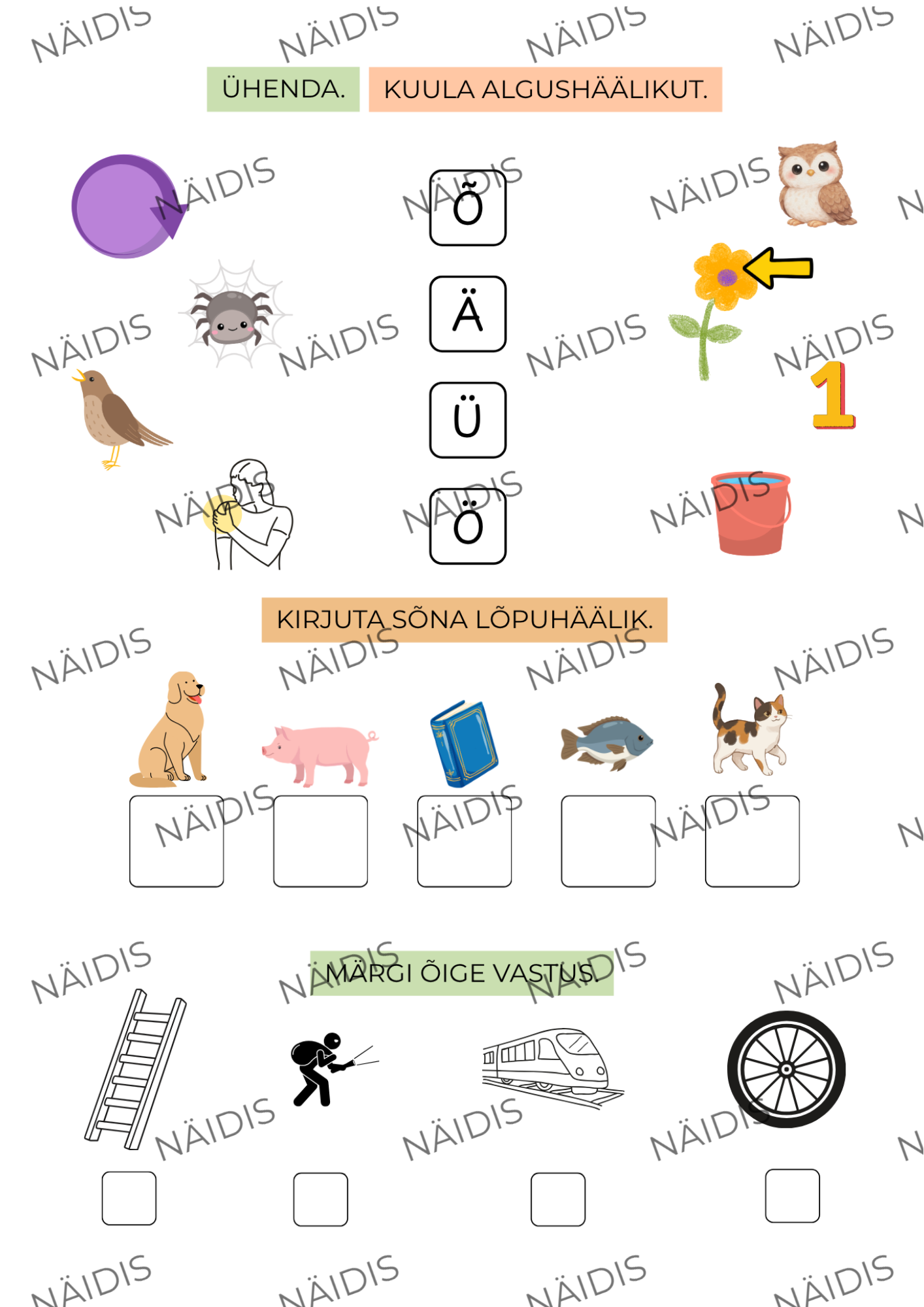Kooliks valmis – näidis 5